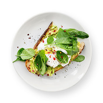 food dish 05